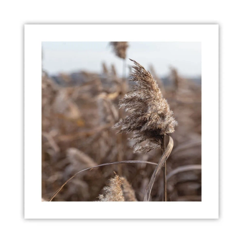 Poster - Time to Fly with the Wind - 40x40 cm