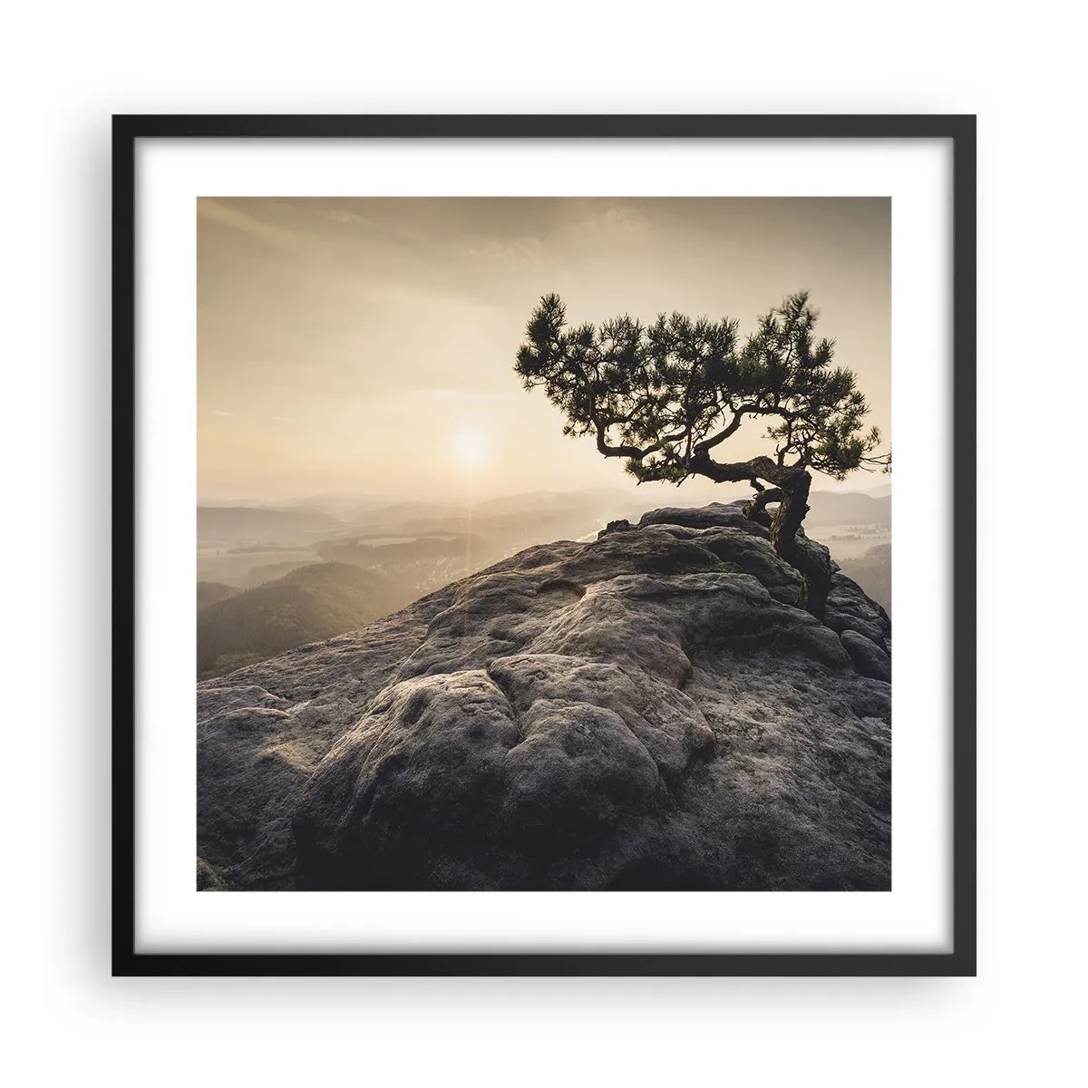 Poster in black frame - Life Always Wins - 50x50 cm