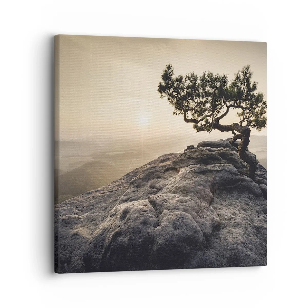 Canvas picture - Life Always Wins - 30x30 cm