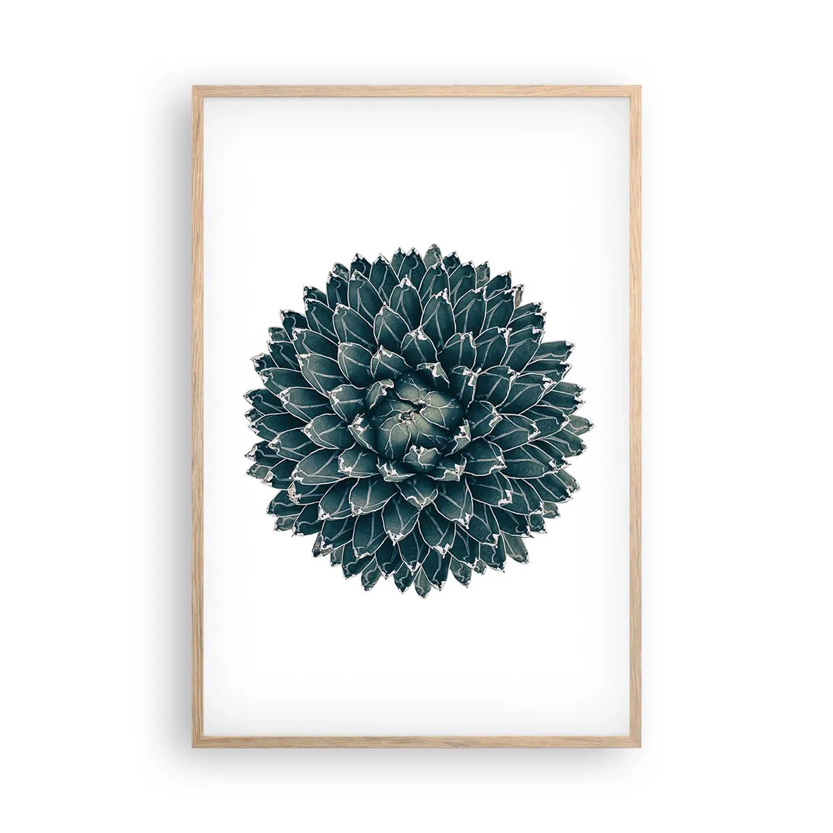 Poster in light oak frame - Star of the Desert - 61x91 cm