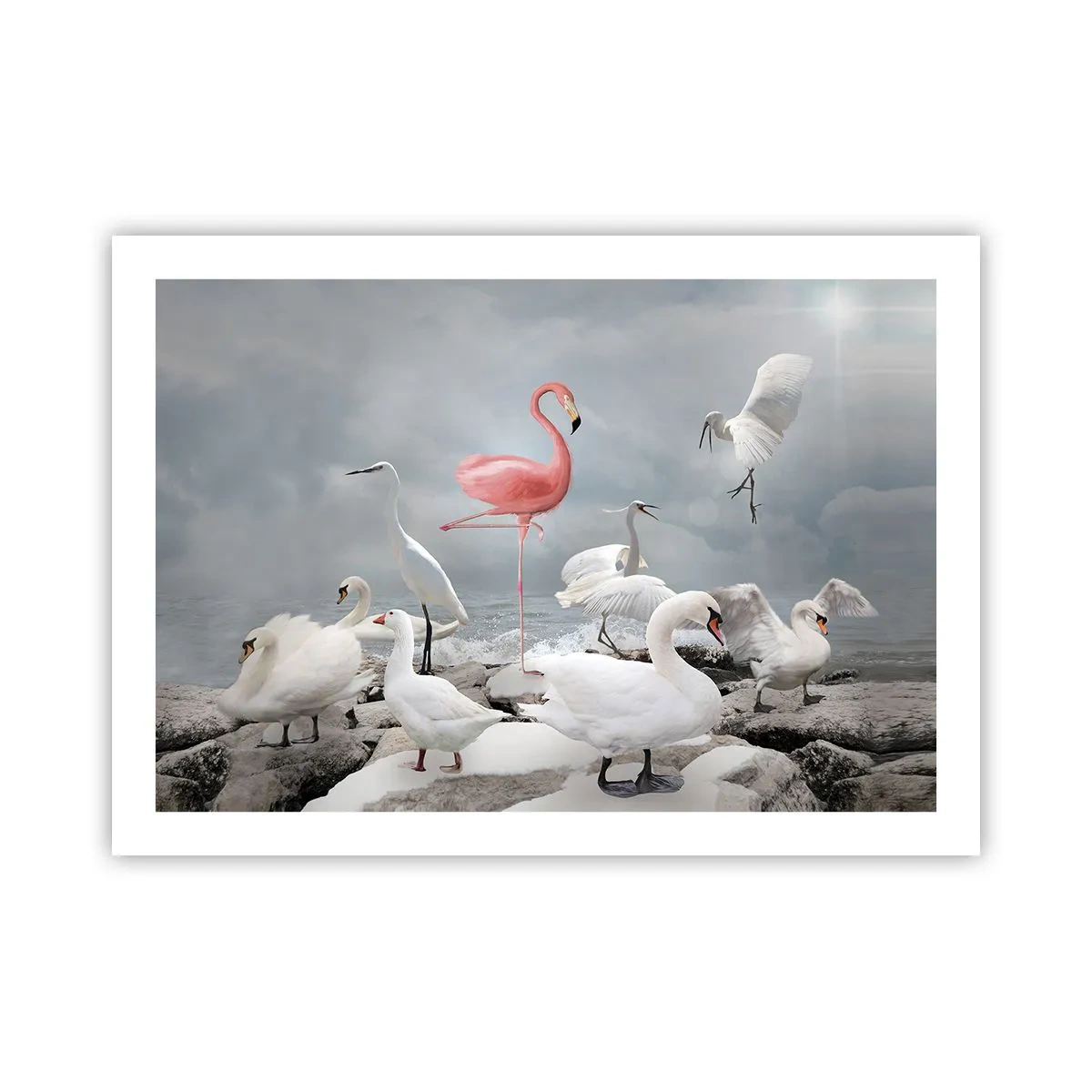 Poster - Where Did I Come from? - 70x50 cm