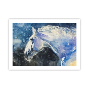 Poster - Portrait in Blue Light - 70x50 cm