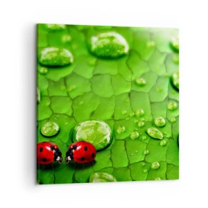 Canvas picture - Encounter in Green - 50x50 cm