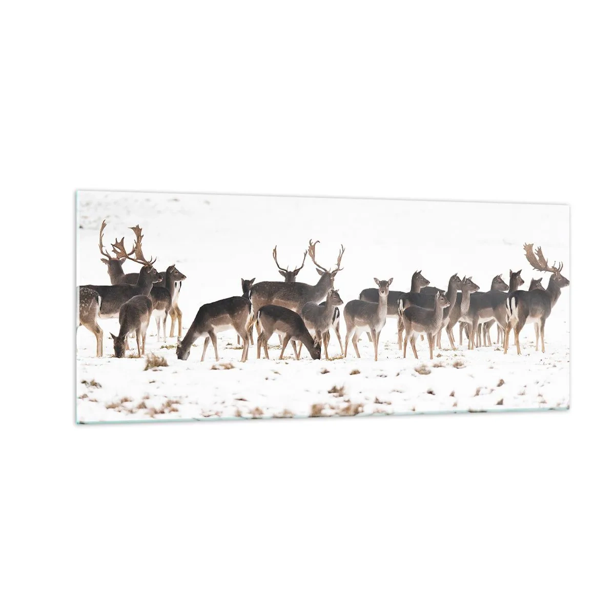 Glass picture - Is it Christmas Already? - 100x40 cm