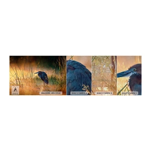 Photo Wallpaper Sample Premium Canvas - Stop Taking Pictures - Heron, Bird, Nature - 100x30 cm