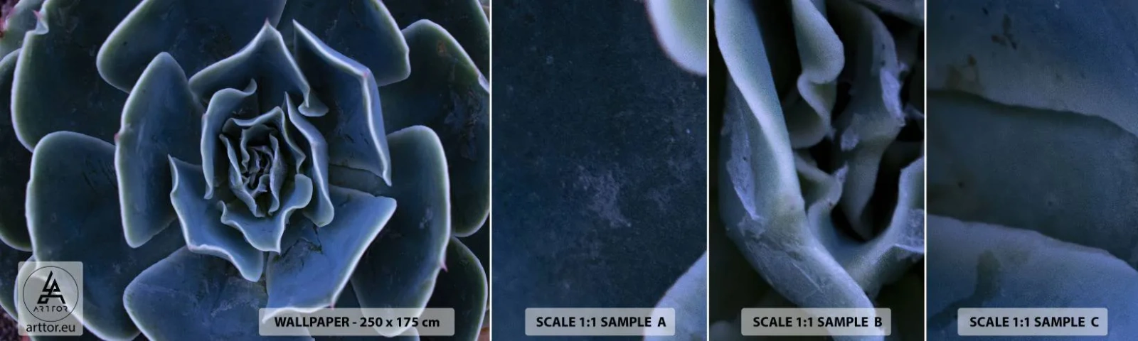 Photo Wallpaper Sample Self-Adhesive Deluxe Sticker - Flower of the Desert - Agave flower, Flower, Nature - 100x30 cm