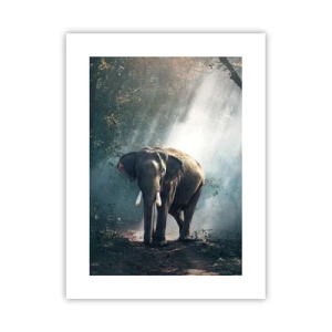 Poster - Quiet Stroll - 30x40 cm