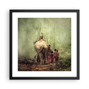Poster in black frame - New Jungle Book - 40x40 cm