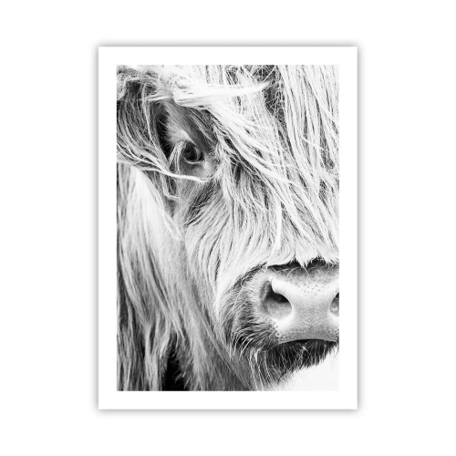 Poster - Scottish Wilderness - 50x70 cm