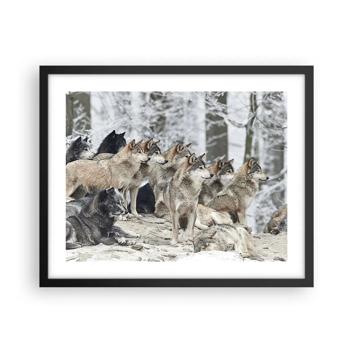 Poster in black frame - Family and Friends - 50x40 cm