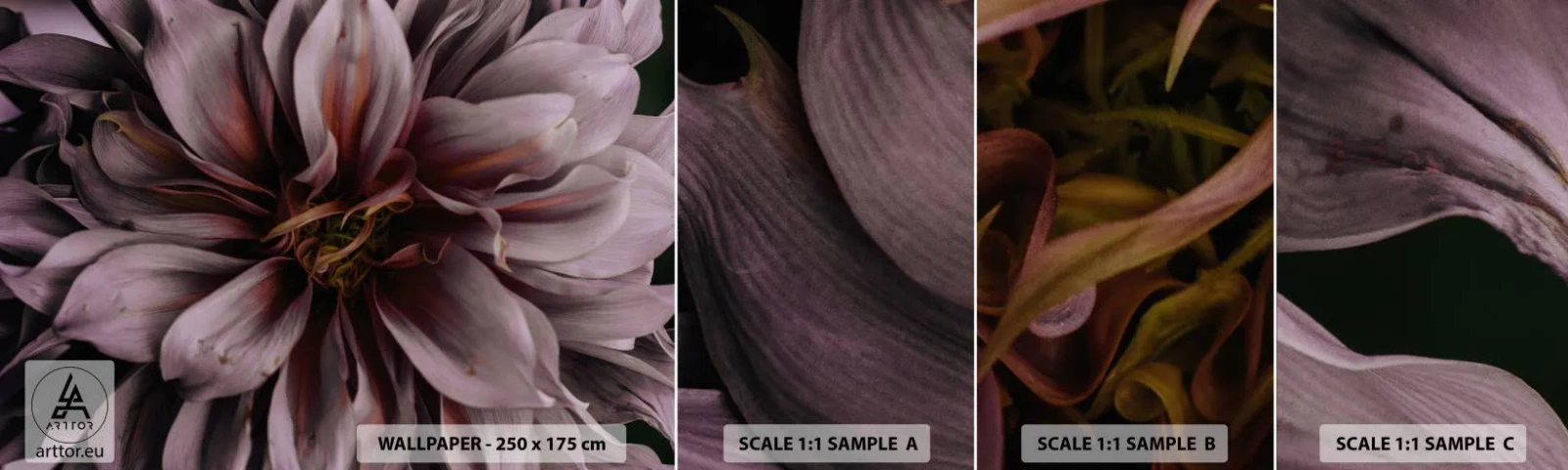 Photo Wallpaper Sample Standard Eco - Flowery Heart - Bouquet of flowers, Dahlia, Flower - 100x30 cm