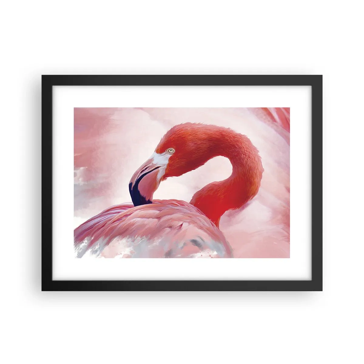 Poster in black frame - Bird Look - 40x30 cm