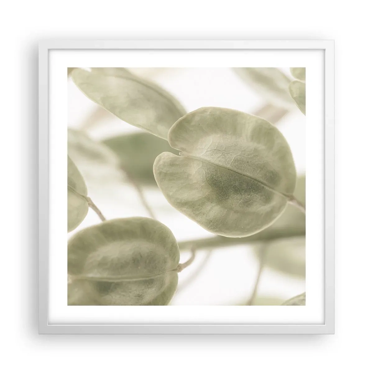 Poster in white frmae - In the Beginning There Were Leaves… - 50x50 cm