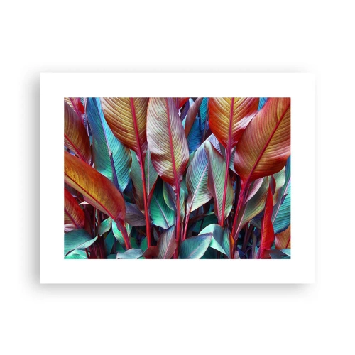 Poster - Colourful Thicket - 40x30 cm
