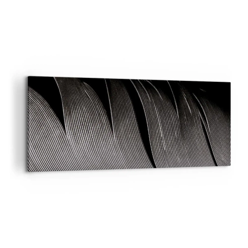 Canvas picture - Feather - Wonderful Constract - 120x50 cm