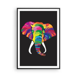 Poster in black frame - Elephant That Enjoyed Rainbow Bath - 70x100 cm