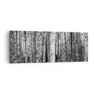 Canvas picture - Birch Colonnade - 140x50 cm