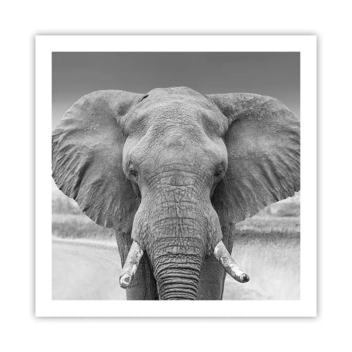 Poster - Welcome to My World - 60x60 cm