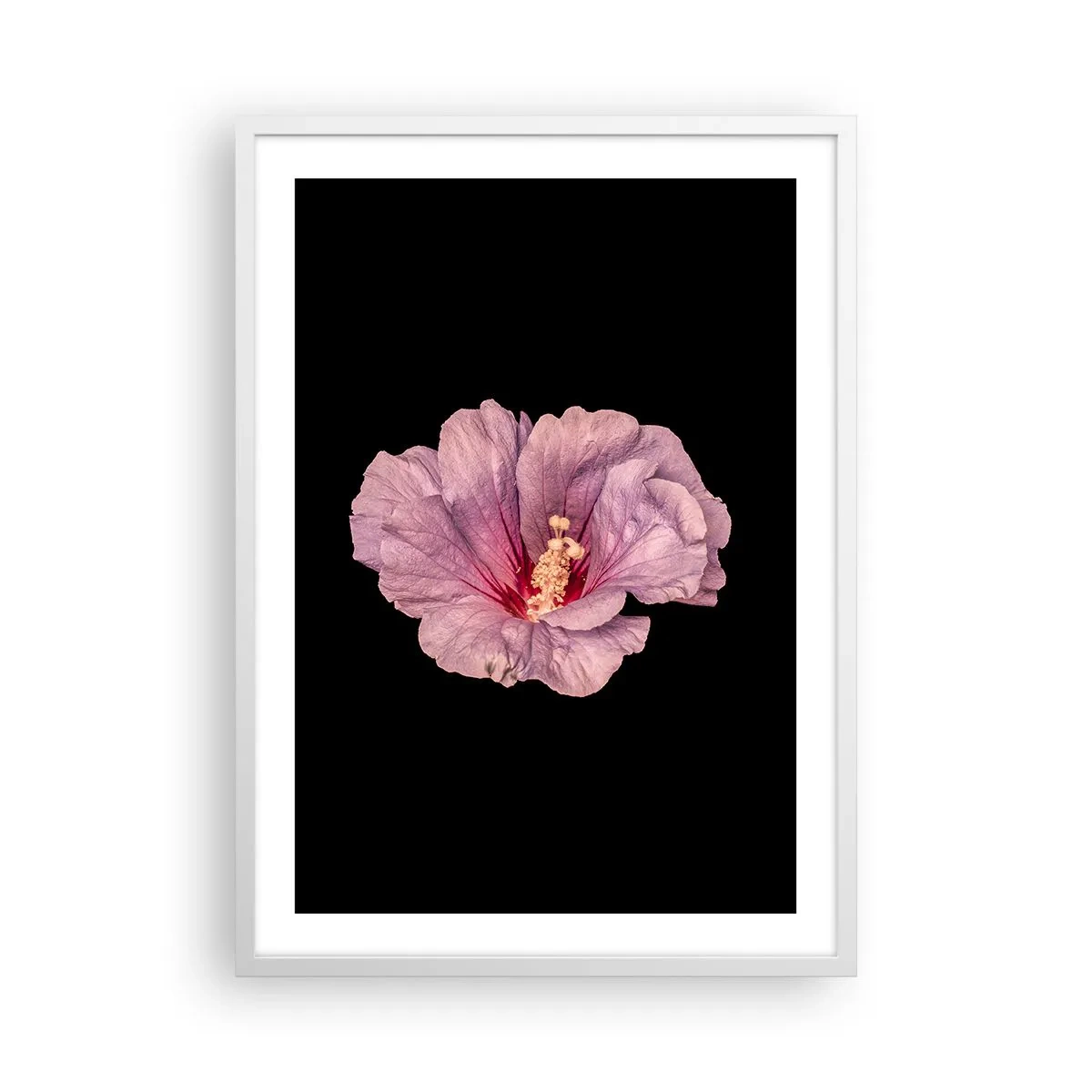 Poster in white frmae - Straight from the Heart - 50x70 cm