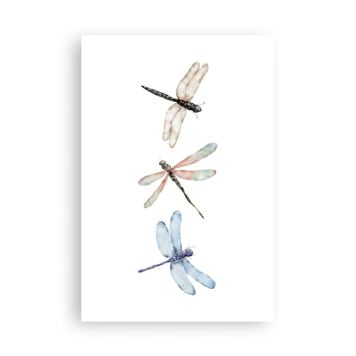 Poster - Lightness of Dragonflies - 61x91 cm