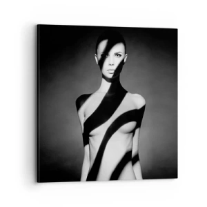 Canvas picture - In the Light and in the Shadow - 70x70 cm