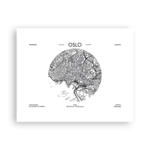 Poster - Anatomy of Oslo - 50x40 cm
