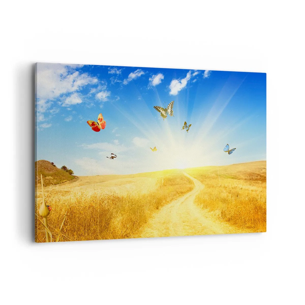 Canvas picture - How Can You Not Love the Summer? - 100x70 cm