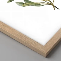 Light Oak