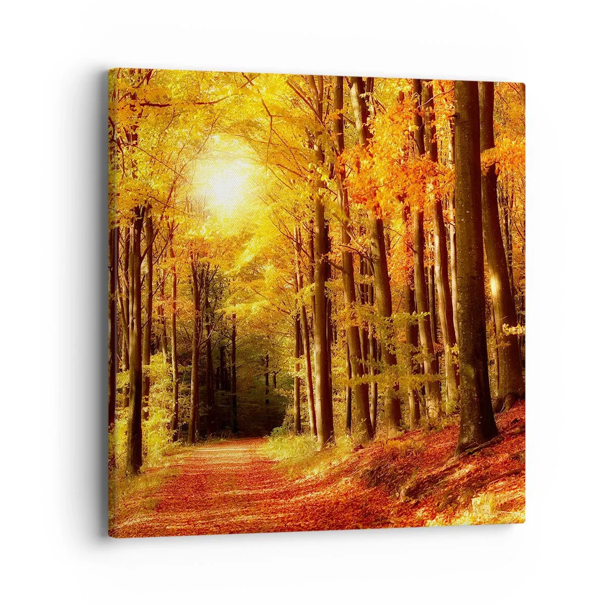 Canvas picture - Golden Autumn on a Forest Path - 40x40 cm