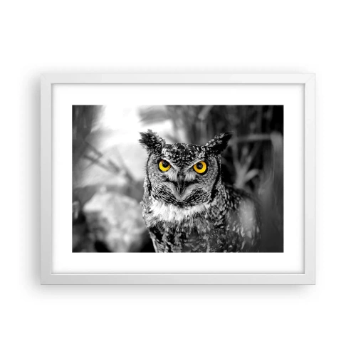 Poster in white frmae - Nothing Can Hide - 40x30 cm