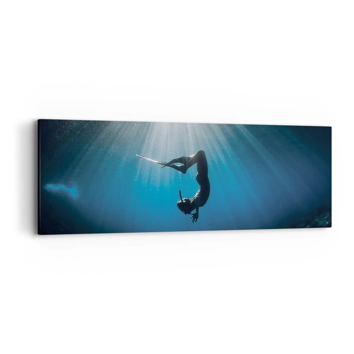 Canvas picture - Underwater dance - 90x30 cm