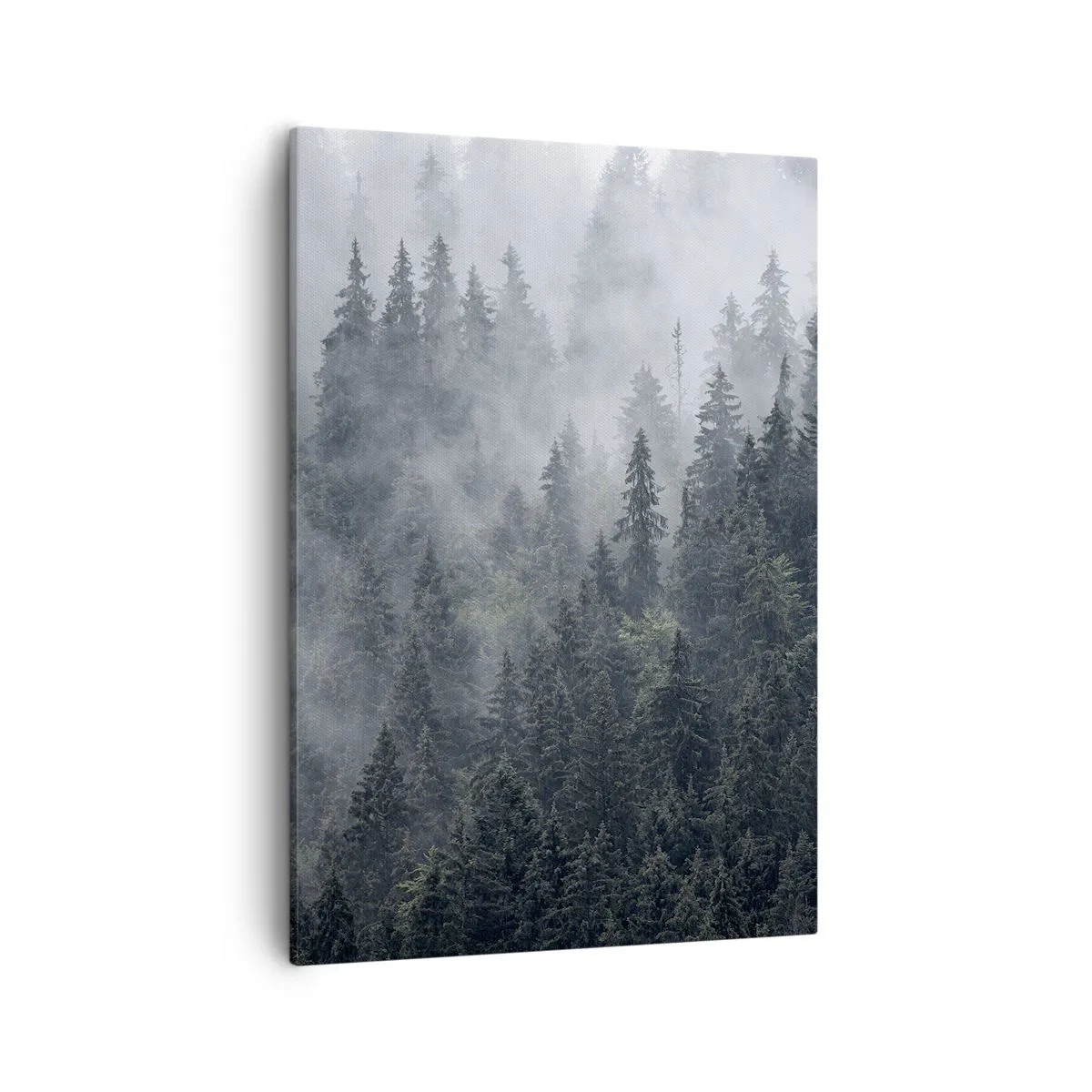 Canvas picture - Forest World - 50x70 cm