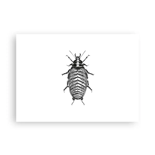 Poster - What a Specimen - 70x50 cm