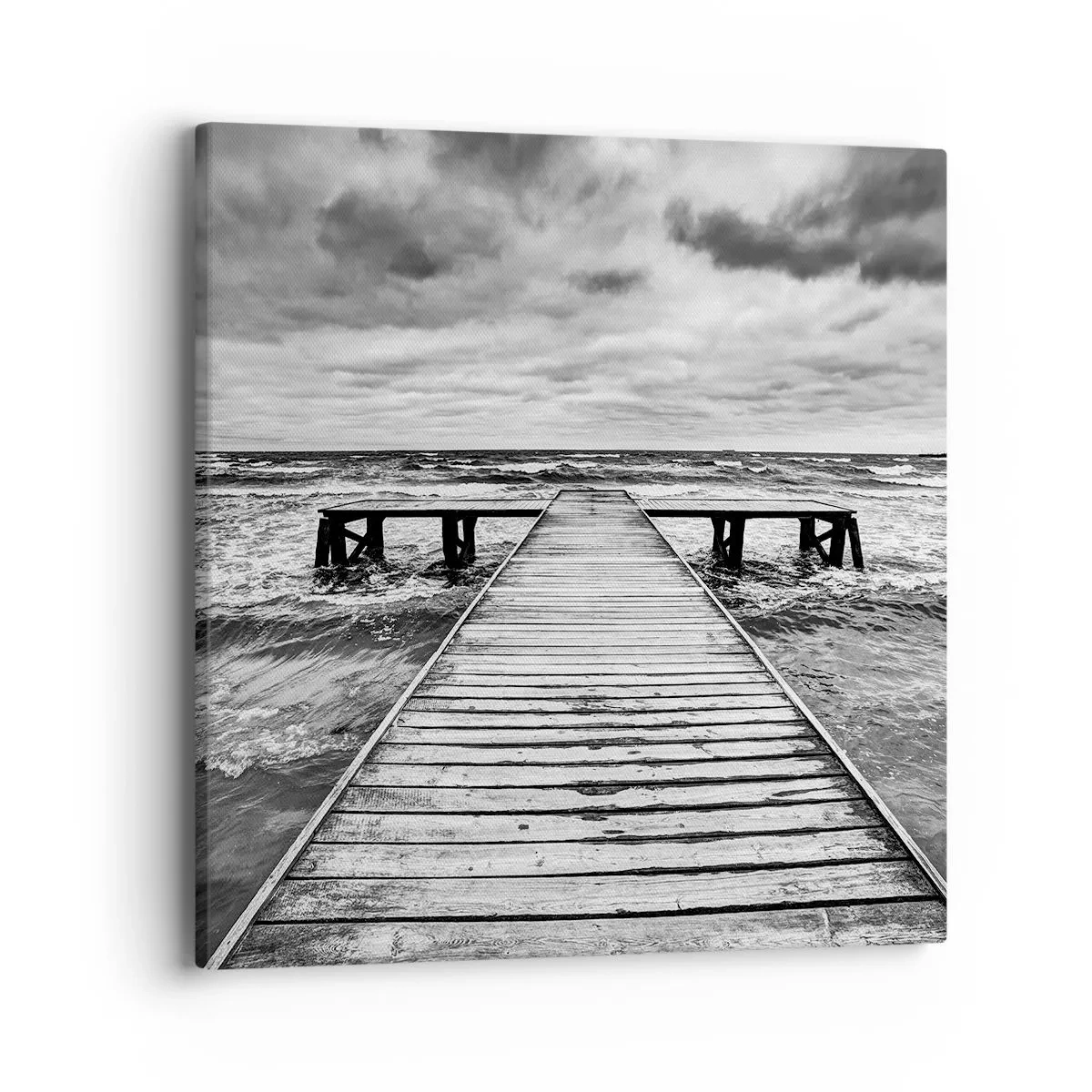 Canvas picture - Waiting for the Wind to Blow away - 40x40 cm