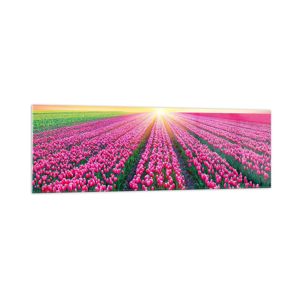 Glass picture - Beauty Farm - 160x50 cm