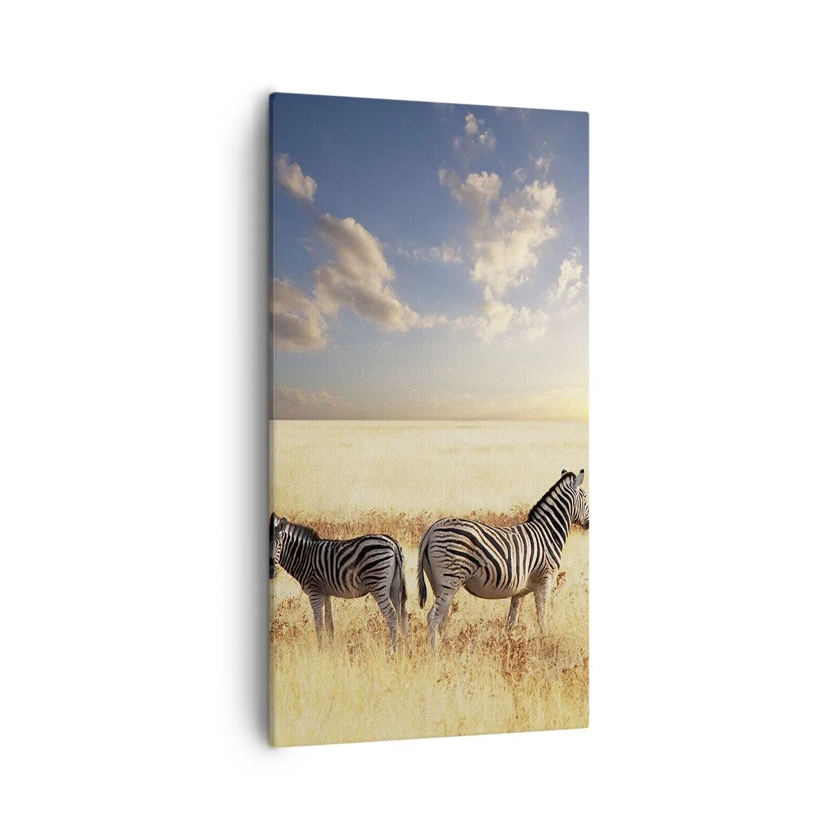 Canvas picture - Go away, Don't Disturb - 55x100 cm