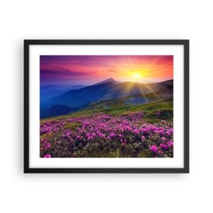 Poster in black frame - Surrounded by Mountain Pine and Herbs - 50x40 cm