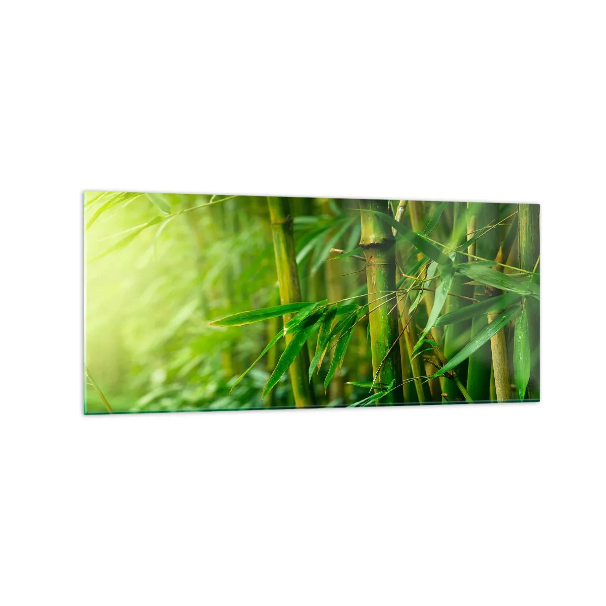 Glass picture - Getting to Know the Green - 120x50 cm