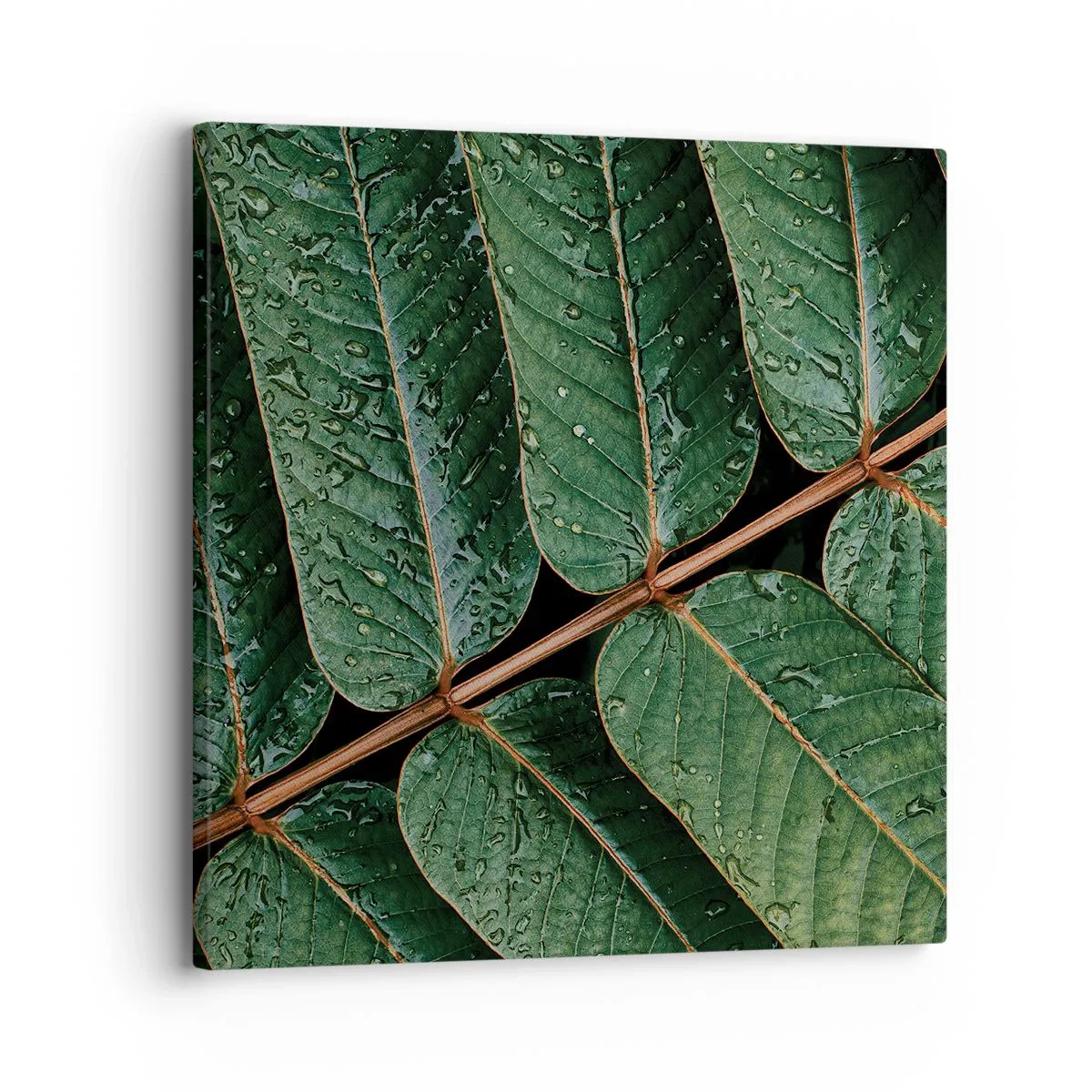 Canvas picture - In Green Rhythm - 30x30 cm