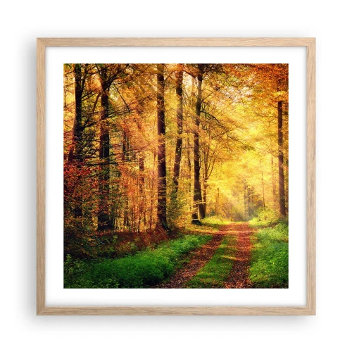 Poster in light oak frame - Forest Golden silence - 50x50 cm
