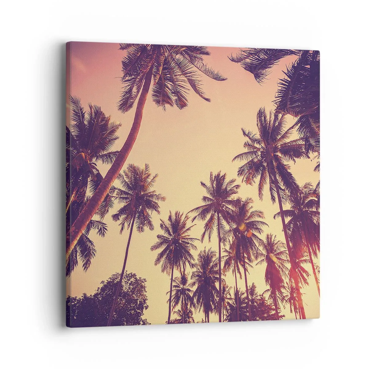Canvas picture - Tropical Variation - 40x40 cm