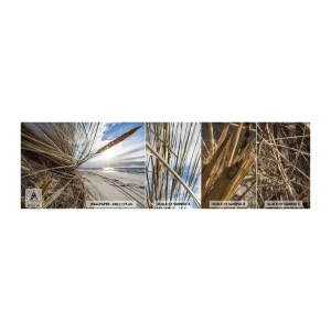 Photo Wallpaper Sample Self-Adhesive Deluxe Sticker - Enounter of the Elements - Landscape, Sea, Dunes - 100x30 cm