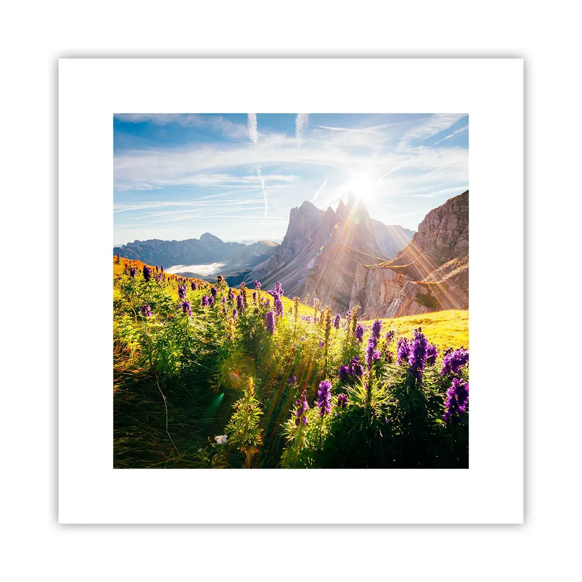 Poster - Secret Life of Herbs - 30x30 cm