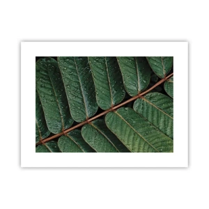 Poster - In Green Rhythm - 40x30 cm