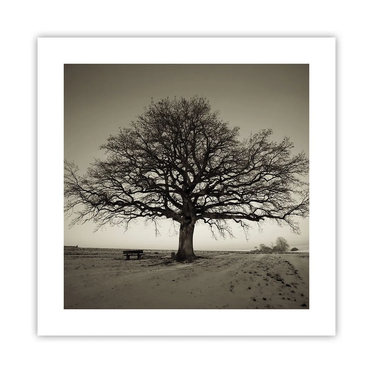 Poster - From Here to Eternity - 40x40 cm