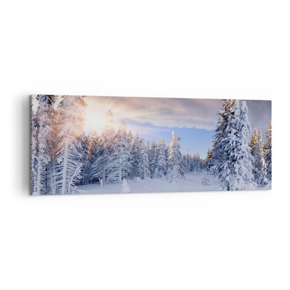 Canvas picture - Snowy Spectacle of Nature - 140x50 cm