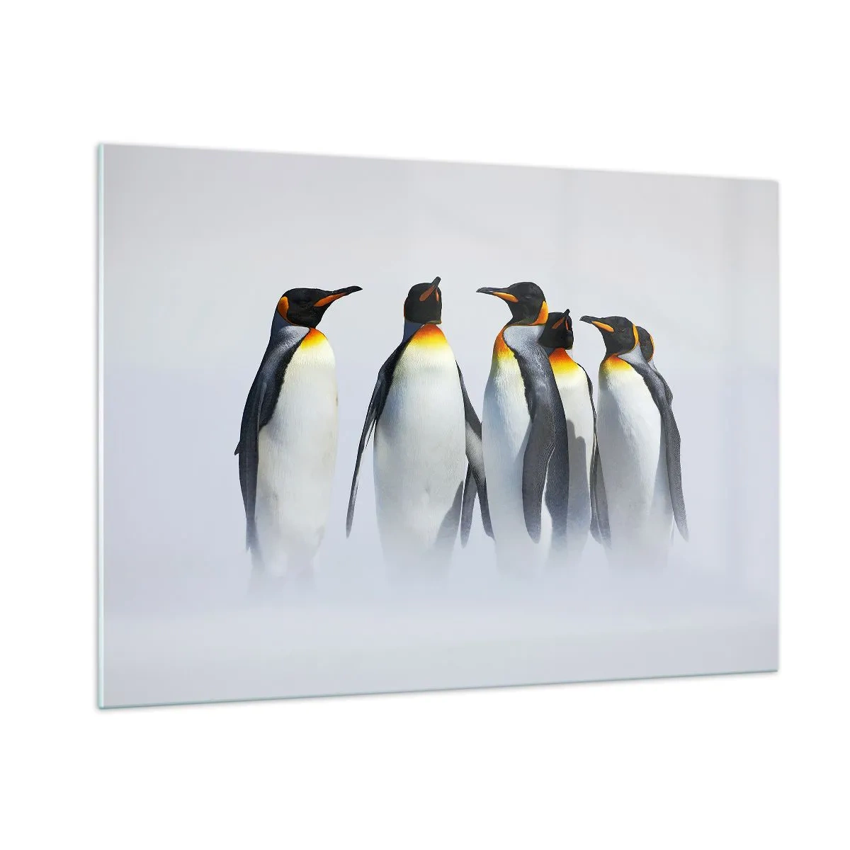Glass picture - Meeting in Tuxedos - 100x70 cm