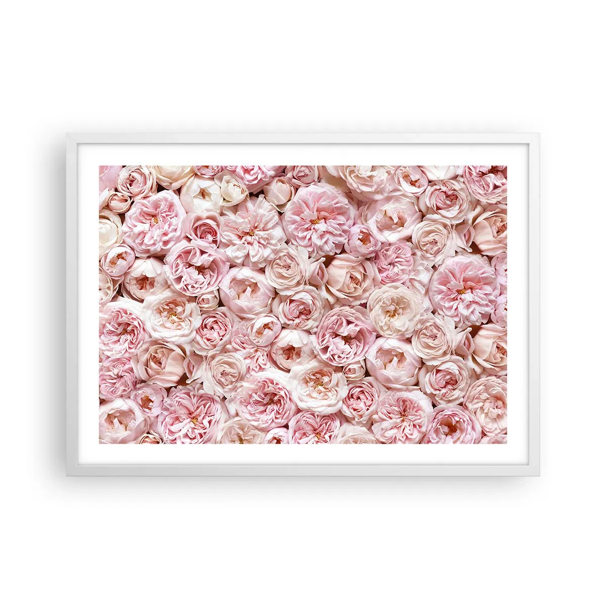 Poster in white frmae - Decked with Roses - 70x50 cm