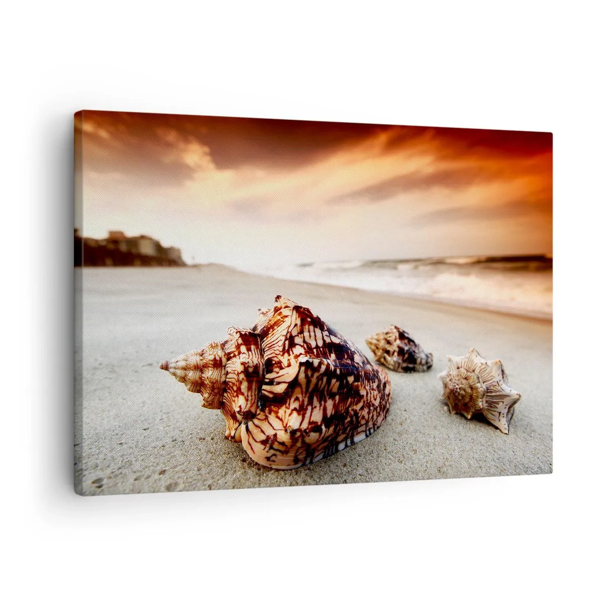 Canvas picture - Shells on the beach at sunset - 70x50cm - Expelled by Waves - Modern wall decoration for the living room and bedroom ARTTOR