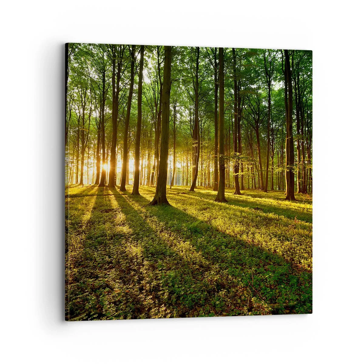 Canvas picture - Photography of All Springs - 70x70 cm